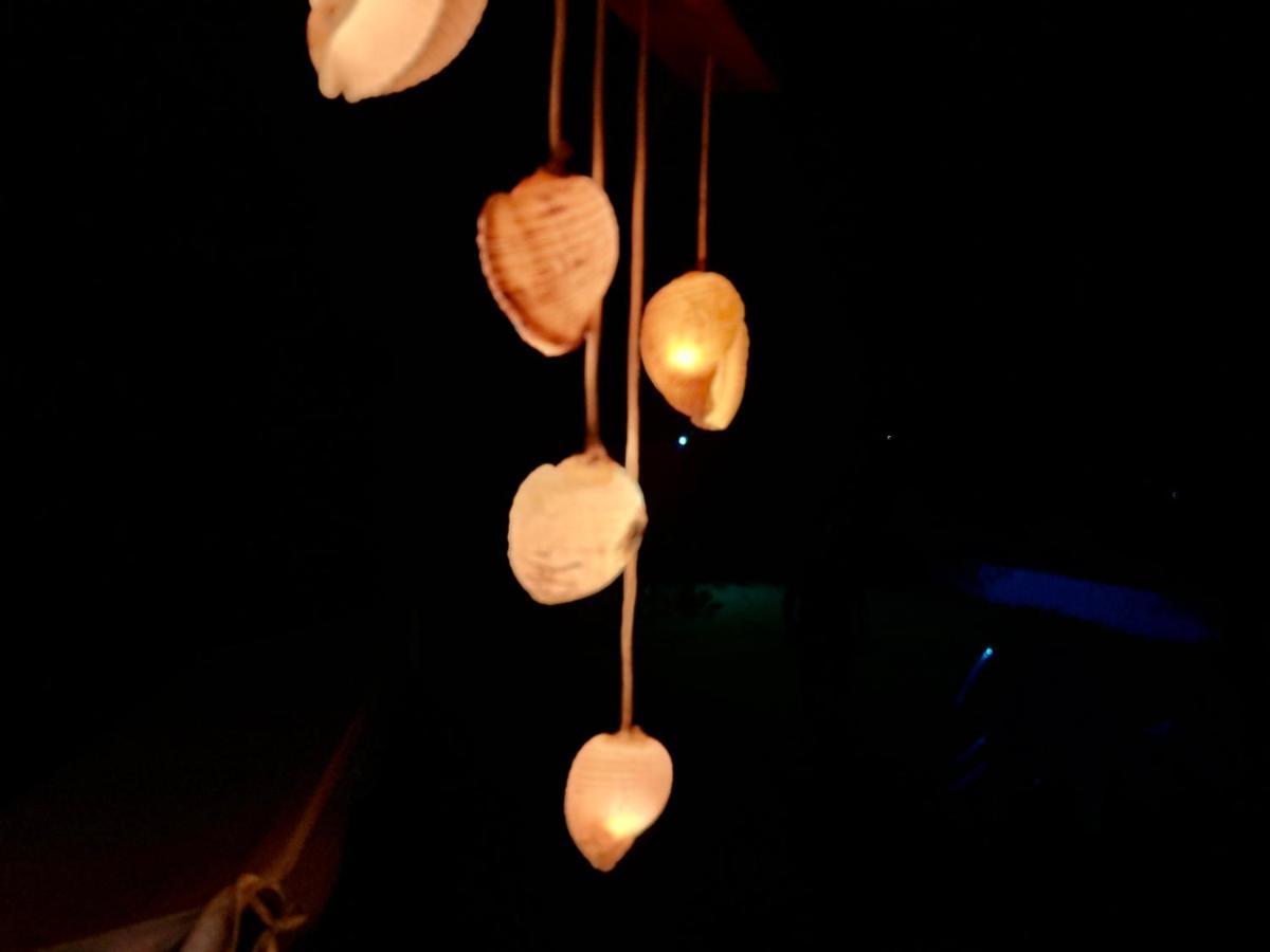 Shell-paralia Ofriniou